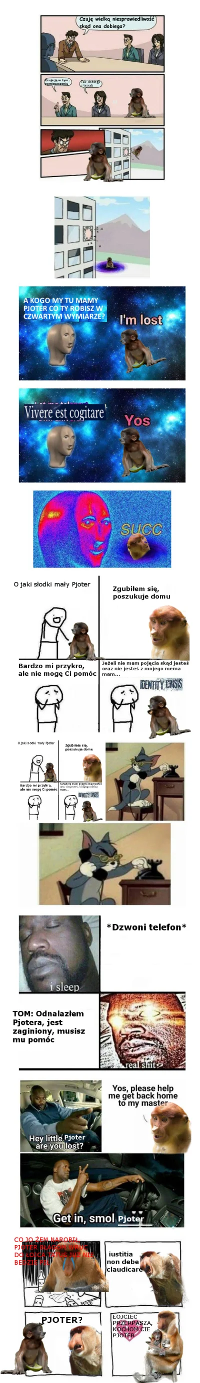 Palladyn400 - #konkursnanajbardziejgownianymemznosaczem 
#kolekcjaklasyki