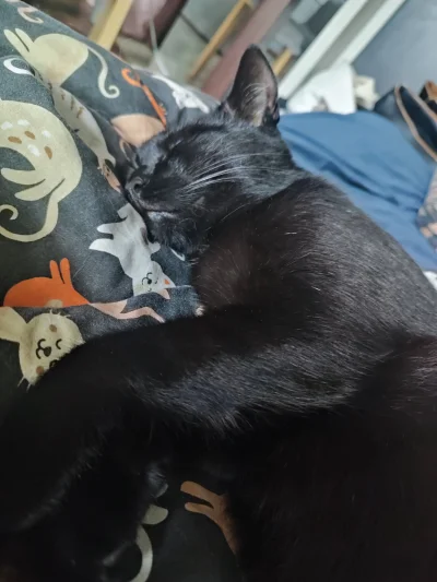 Szuruburupomarancze - Hejo Mirki i Mirabelki!
Przychodzę do was z dość nietypowa proś...