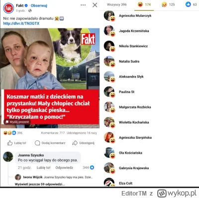 EditorTM - Nic nowego w tym środowisku.