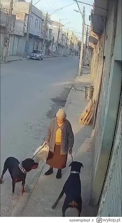 spawngdapl - #psiarze #psy #zwierzeta 
No i co? Kto was obroni przed atakiem lamparta...