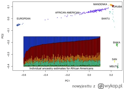 nowyjesttu - Dlaczego Afroamerykanie są Mulatami?
Badania genetyczne potwierdzają to ...