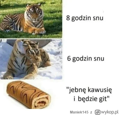 Maniek145 - Rano będę wyglądać jak truchło