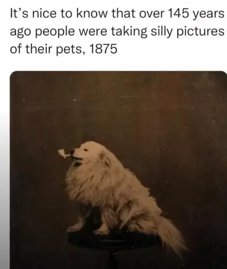 Casuel - #psiarze #psy #smiesznypiesek #retro #ciekawostki #heheszki