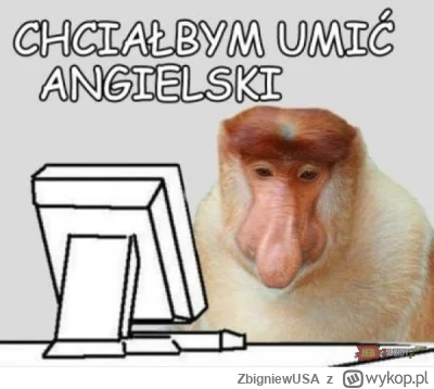 ZbigniewUSA - wykop to reddit dla ograniczonych