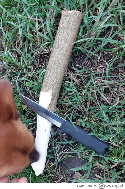 GenLufa - Ale ten nożyk to diabeł
#noze #bushcraft 
Wszystko nim się zrobi