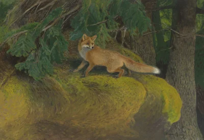 Corvus_Frugilagus - Bruno Andreas Liljefors - Lis ścigany przez psy myśliwskie 

#cor...