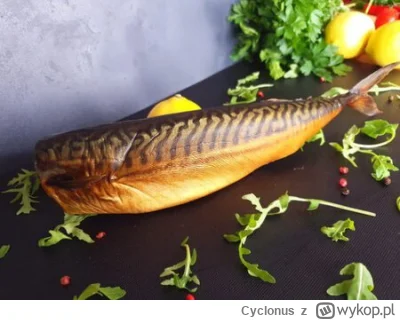 Cyclonus - Myślę, że jedynym ratunkiem dla Muminów jest powrót Pięknego Romana i rean...