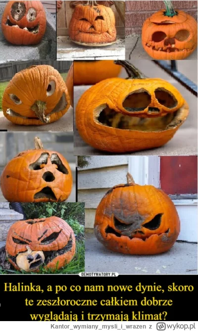 Kantorwymianymysliiwrazen - 🤟🤪
#heheszki #halloween troche #grazynacore