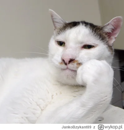 JankoBzykant89