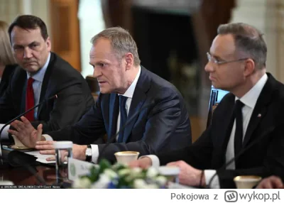 Pokojowa - Czy Twoim zdaniem, dobrym pomysłem by bylo, aby nasza dyplomacja zaprosiła...