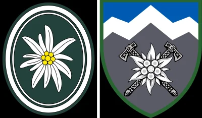 JPRW - >Nazwa i logotyp są identyczne z odpowiednikami 1. Dywizji Piechoty Górskiej I...