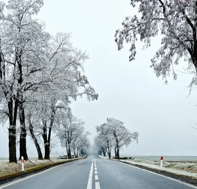 vaneck - @Ar_0: powinieneś to wykadrować, coś jak to: