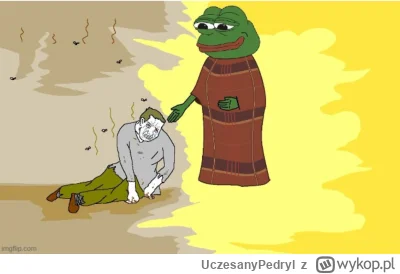 UczesanyPedryl - 10 lat neetu po technikum, potem 3 lata pracy w korpo i 6 miesięcy m...