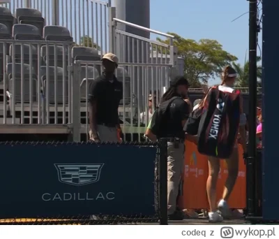 codeq - Rybakina odpada w 1/32 (╯︵╰,)

#tenis