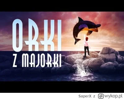 SaperX - # Polska #programorka #marynarkawojenna
Orka dzisiaj?