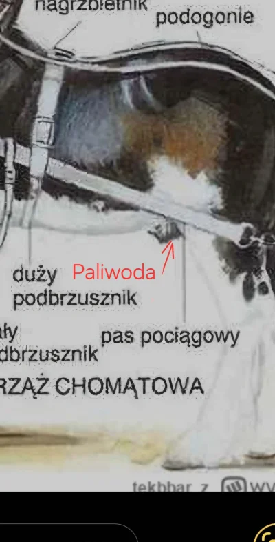 Sexinstruktor - @tekbbar: