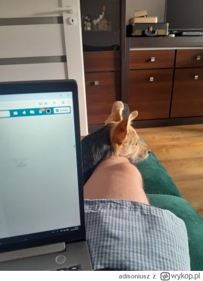 adisoniusz - I tak sie pracuje na tej wsi...