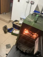 JamAnonim - #pijzwykopem