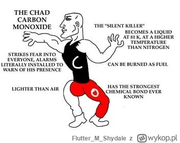 FlutterMShydale - Chad czad ( ͡° ͜ʖ ͡°)