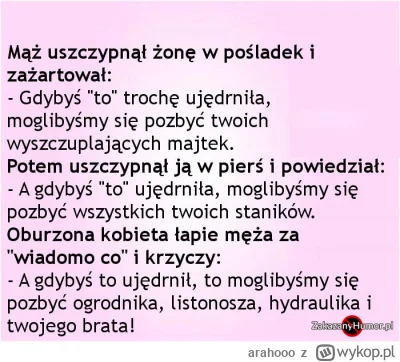 arahooo - #humor #smieszne #dowcip #rozowepaski #niebieskiepaski #zwiazki