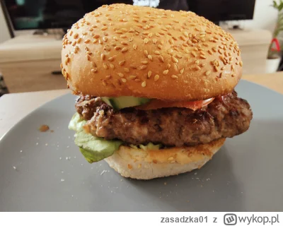zasadzka01 - Patrzcie jakiego sobie hamburgerka zrobiłem. Coś pięknego (｡◕‿‿◕｡) W kom...