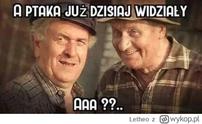 Letheo - #grazynacore #heheszki #humorobrazkowy