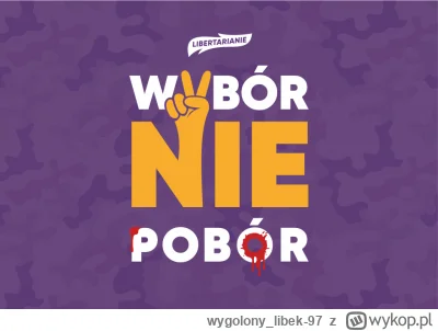 wygolony_libek-97 - • Zastąpienie obecnych rodzajów służby wojskowej 4 jasnymi jej ro...