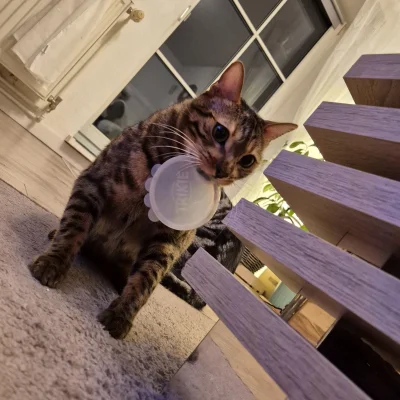 Lujdziarski - @Lujdziarski xD