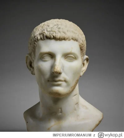 IMPERIUMROMANUM - Popiersie mężczyzny z czasów Domicjana

Popiersie rzymskiego mężczy...