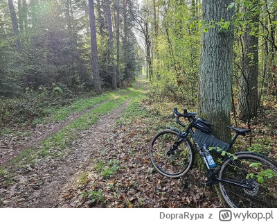 DopraRypa - 76 220 + 126 + 2 = 76 348

Pogoda dopisuje to i kwadraty nowe wpadły

#ro...