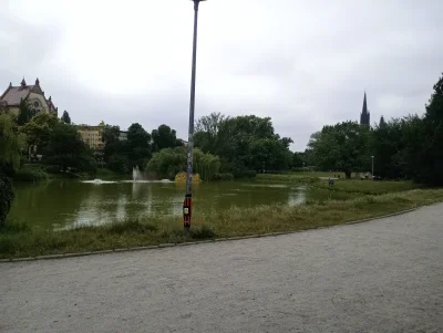 Celestines - Przyszedłem pooglądać kaczuszki i lecę dalej, bo jakąś paskuda zaczęła r...