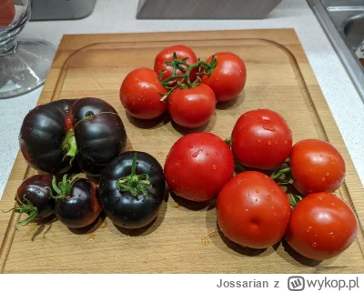Jossarian - @KTreu: To jest całkowicie nowa odmiana purpurowego pomidora która powsta...