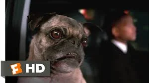 ufoLatajace - @NaczelnyAgnostyk: nie ludzisz jeść jabłek?