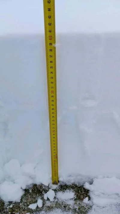 smutny_kojot - Mogłalby Unia już trochę odpuścić z tymi nakrętkami przy butelkach, bo...