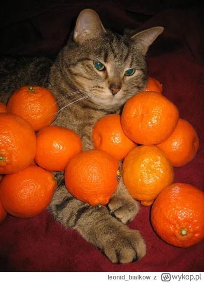 leonid_bialkow - a wy zazdrośni