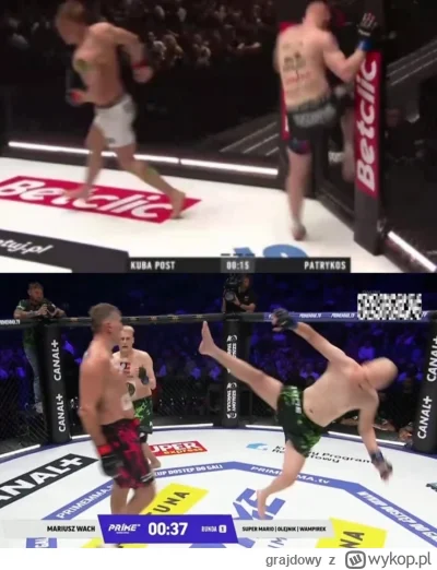 grajdowy - Przecież gdyby to weszło to by nie było czego zbierać 


#famemma #patostr...