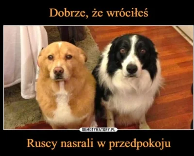 adi2131 - #polityka #heheszki #humorobrazkowy #4konserwy #neuropa