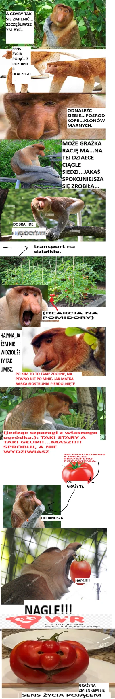 rekinwskarpetce - #konkursnanajbardziejgownianymemznosaczem