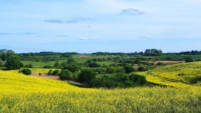 MateMizu - Jechałem sobie dzisiaj i mi się spodobał ten widok więc zrobiłem zdjęcie t...