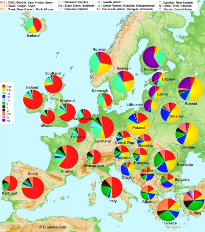 Cyslav - @Mamaboss Polacy mają najwięcej genów aryjskich w Europie, ponadto nie mamy ...