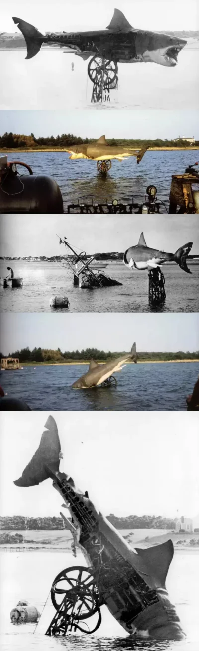 DzonySiara - Mechaniczny rekin użyty w filmie Spielberga "Szczęki".
#film
#zdjecia 
#...