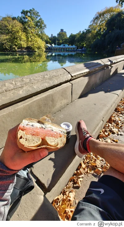 Corranh - @LebronAntetokounmpo Tam zawsze jest gęsto od biegaczy, rowerzystów i psiar...