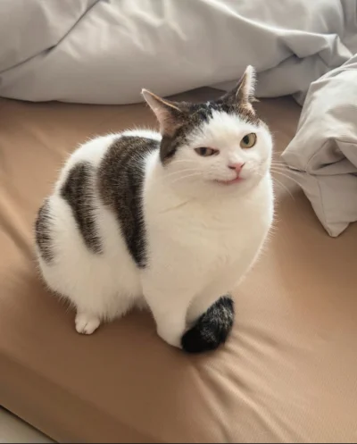 wybryk_natury - #zlodziejskiewybryki