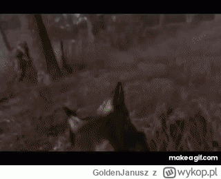 GoldenJanusz - już w grach uczyli jak załatwia się sprawę (⌐ ͡■ ͜ʖ ͡■)
#przegryw #psi...