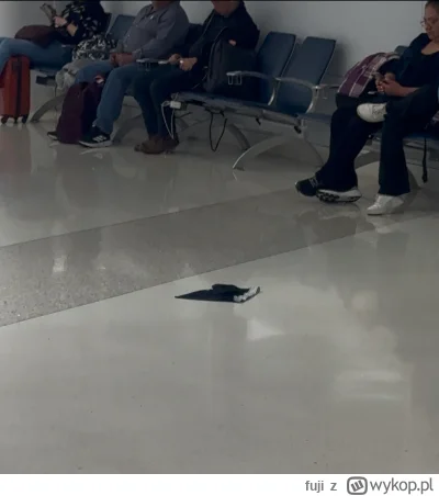 fuji - O nie, ktoś się teraz zesra na wakacjach, a jego zapasowe cottonworldy zostały...