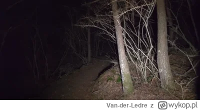 Van-der-Ledre - Znów udaję się do lasu, nie wiem właściwie po co. Uciekam od czegoś, ...