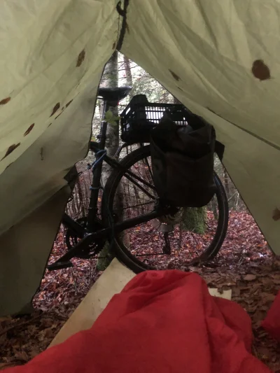 ChlopoRobotnik2137 - Leżę se w gnieździe i myśle co robić w akompaniamencie kropli de...