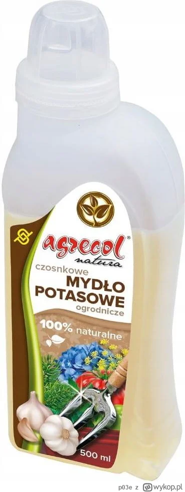 p03e - O kurde, działa mydło potasowe z czosnkiem na mszyce, po kilku dniach widzę, ż...