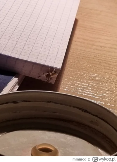 mmmod - K---a co ja mam zrobić xd jak ruszę notes to mi na morde skoczy(╯︵╰,) dopije ...