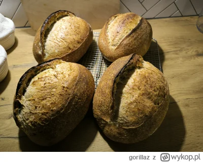 gorillaz - No fajnie to rośnie
#bojowkapiekarska #gotujzwykopem